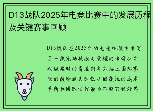 D13战队2025年电竞比赛中的发展历程及关键赛事回顾