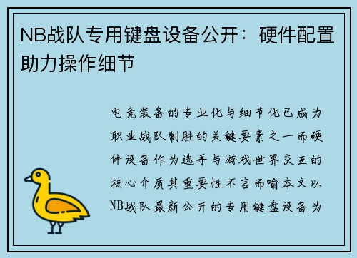 NB战队专用键盘设备公开：硬件配置助力操作细节
