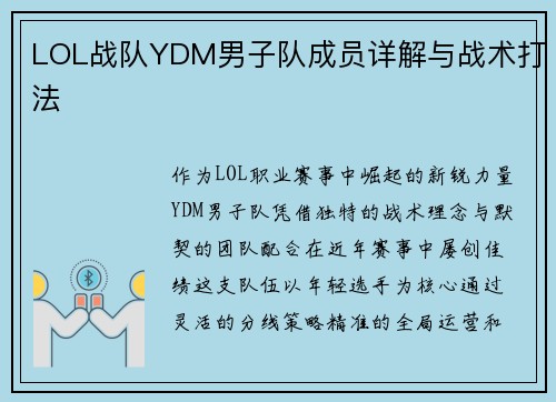 LOL战队YDM男子队成员详解与战术打法